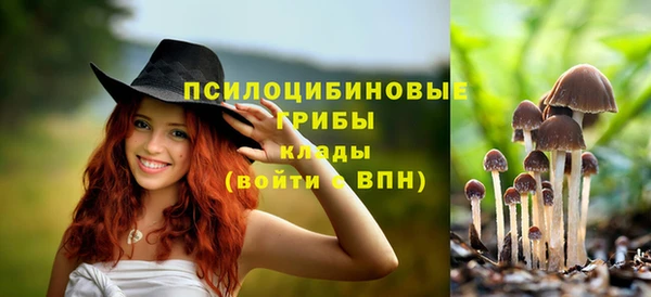 герыч Вязники