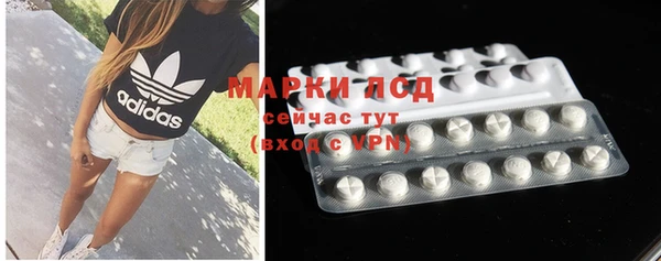 ПСИЛОЦИБИНОВЫЕ ГРИБЫ Вяземский