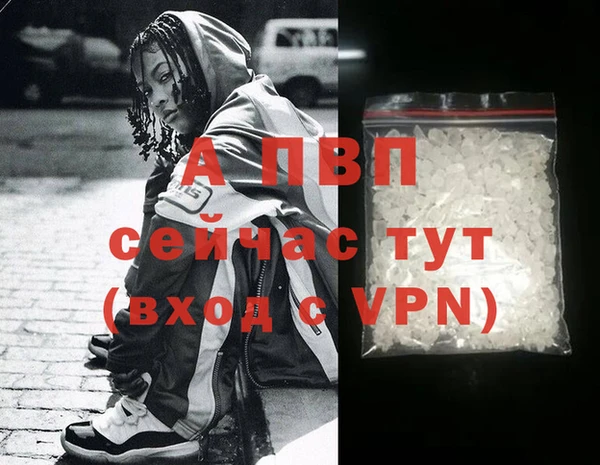 ПСИЛОЦИБИНОВЫЕ ГРИБЫ Вяземский