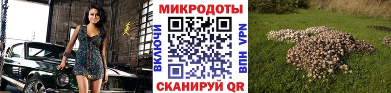 Псилоцибиновые грибы MAGIC MUSHROOMS blacksprut ссылка Новочебоксарск